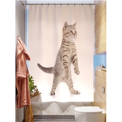 Фотоштора для ванной Шотландский котенок