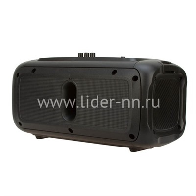 Колонка 04" (20-65 DANCE BOX 200) динамик 2шт/4" ELTRONIC с TWS                  
                                          
                                -10%