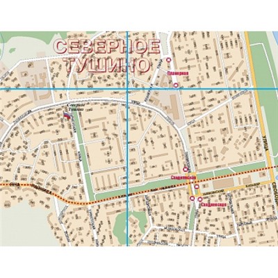 Карта Москвы на стену купить, Настенная карта Москвы с каждым домом 206х155см.