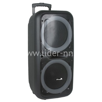 Колонка 12"  (20-05 DANCE BOX 500) динамик 2шт/12" ELTRONIC с TWS                  
                                          
                                -10%