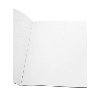 Картон белый 10л. А4 Медленные ленивцы  Проф-Пресс 10-9087