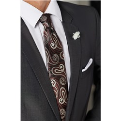Галстук классический галстук мужской фактурный с принтом пейсли в деловом стиле "Власть и награда" SIGNATURE #783959