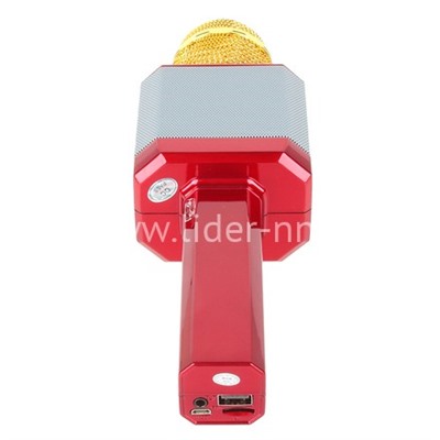 Колонка-микрофон (WS-1828) Bluetooth/USB/micro SD/LED/караоке/меняет голос (красная)