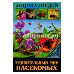 Людмила Соколова: Удивительный мир насекомых