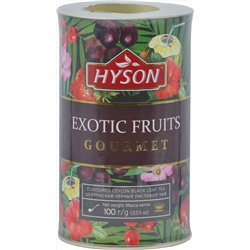 HYSON. Gourmet. Exotic Fruits 100 гр. картонная туба