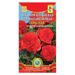 Бегония Красная клубневая (Код: 88356)