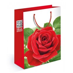 Пакет Бумажный 13,5*18 (MS) Красная роза 151101026, (Хорошо)