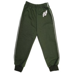 Спортивные штаны 360/8 (темно - зеленые, кант)