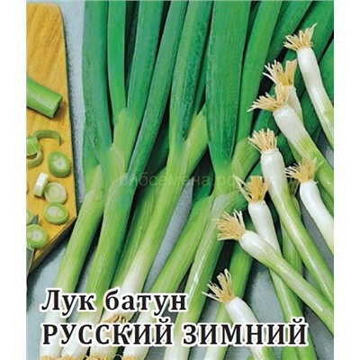 Ф Лук батун Русский зимний (от 0,2 кг), кг