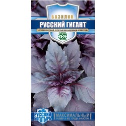 Базилик Русский гигант фиолетовый (Гавр)