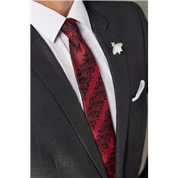 Галстук классический галстук мужской фактурный с принтом пейсли в деловом стиле "Тайная власть" SIGNATURE #783947