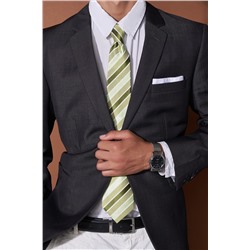 Галстук классический галстук мужской галстук в полоску в деловом стиле "Деловой роман" SIGNATURE #779888