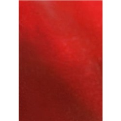 Записная книжка А5 100л "Chameleon. Красный" КЗХ51002580 съемная обложка Эксмо