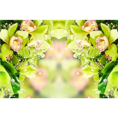 Фотоплед двухсторонний "Зеленая орхидея", 145*220 см  (s-102293)