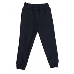 Спортивные штаны 381/33 (темно-синие)