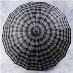 зонт 
            2.FAJLY2512-05