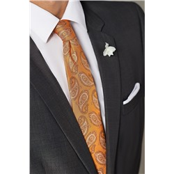 Галстук классический галстук мужской фактурный с принтом пейсли в деловом стиле "Тайная власть" SIGNATURE #782976