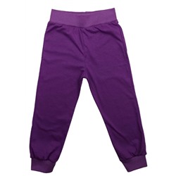 Спортивные штаны 5024/17 фиолетовые