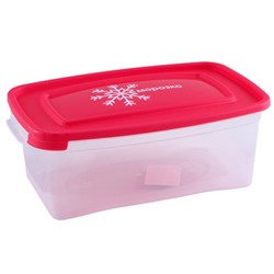 Комплект контейнеров 3 штуки 1 л для замораживания продуктов "МОРОЗКО" прямоугольных 57036