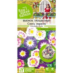 Вьюнок Трехцветный Смесь окрасок (Алтай)