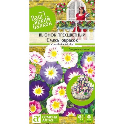 Вьюнок Трехцветный Смесь окрасок (Алтай)