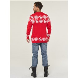 Джемпер мужской 202-12246