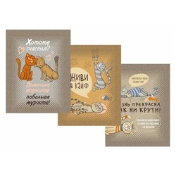 К-т полотенец "Кошачьи тайны" 50*60 см. - 3 шт. рогожка хлопок 100%
