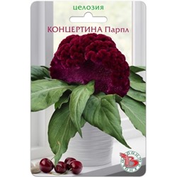 Цв.Целозия Концертина Парпл (Био) 8шт