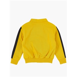 Куртка UD 4904 горчица