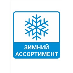 454024 CLEVER Носки