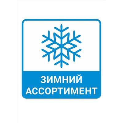 454022 CLEVER Носки