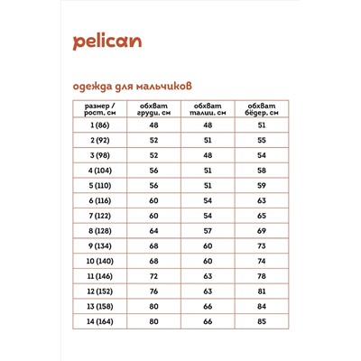 Лонгслив PELICAN #889676