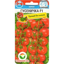Томат Гусеничка F1 (Сиб.Сад) 15шт