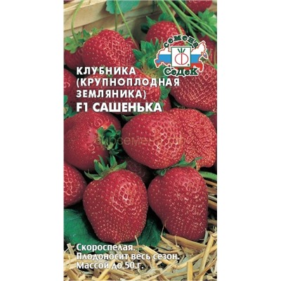 Земляника  Сашенька F1 (Седек)