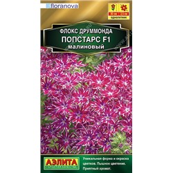 Флокс Попстарс F1 малиновый (Аэлита)