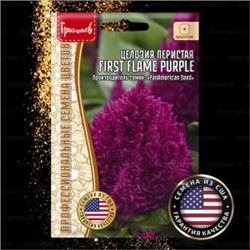Цв.Целозия Фирст Флейм Пурпл (First Flame Purple) (Григорьев) 4шт