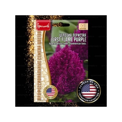 Цв.Целозия Фирст Флейм Пурпл (First Flame Purple) (Григорьев) 4шт