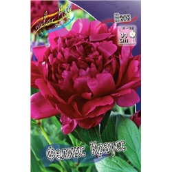 Пион Феликс Краусс трав. 2/3п 1шт (ИС)