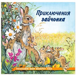 Кн. Познаем мир вокруг нас. Приключение зайчонка 16 цветн.стр. 21*21см 28213
