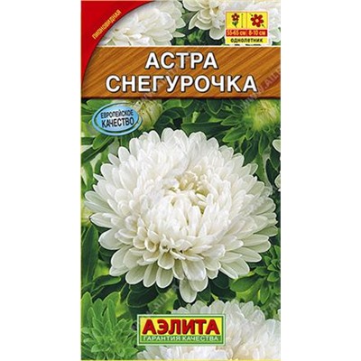Астра Снегурочка (Код: 85988)