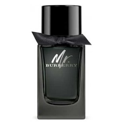 BURBERRY MR. BURBERRY EAU DE PARFUM  men   30ml edP