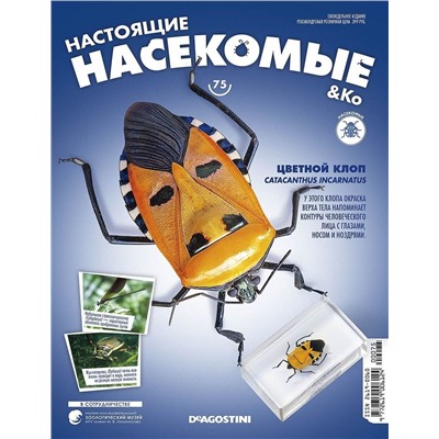 Журнал №75 "Настоящие насекомые" С ВЛОЖЕНИЕМ! Цветной клоп