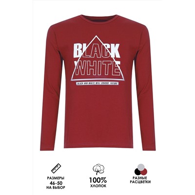 Футболка с длинным рукавом Black White ФН170