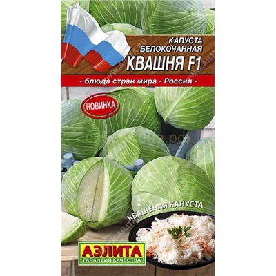 Капуста бк Квашня F1 (Аэлита)
