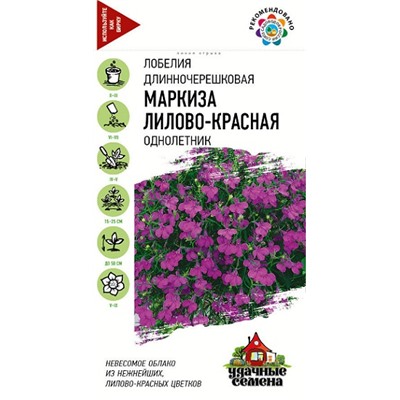 Лобелия Маркиза Лилово-красная  УС (Код: 91902)