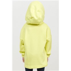 Худи PELICAN #749633