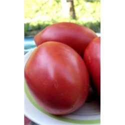 Томат Испанский Гигант (УД) 20шт.