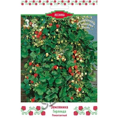 Клубника Гирлянда (Поиск) 5шт