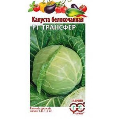 Капуста Трансфер F1 (Гавриш) 10шт