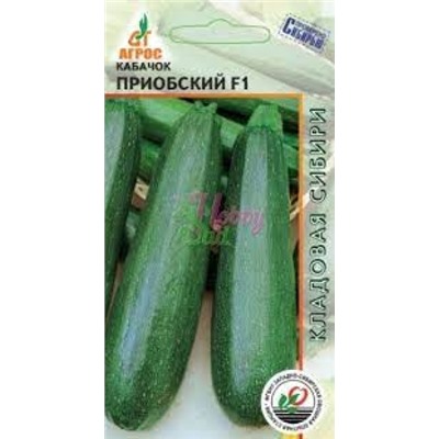 Кабачок Приобский (Агрос) 6шт